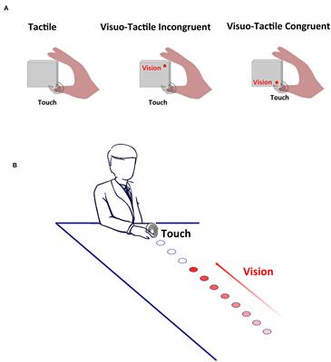 Visual-Tactile Spatial Multisensory Interaction in Adults With Autism and Schizophrenia